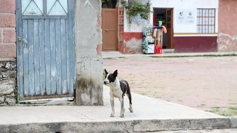250925_LA MIRADA_TINAJA DE LA ESTANCIA Y EL PIE_MM_7
